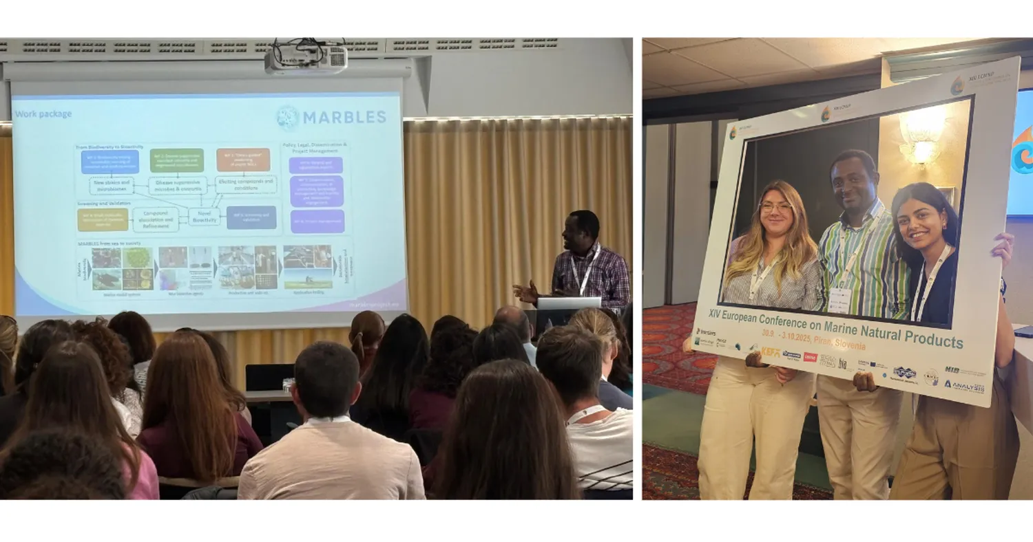 image-85c8748e63ab33141fac5a69ec0155ac927cf636-1200x630-png