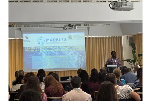 image-c312f7db8de5fa4a745629ad74694b1f741a5ab3-1200x630-png