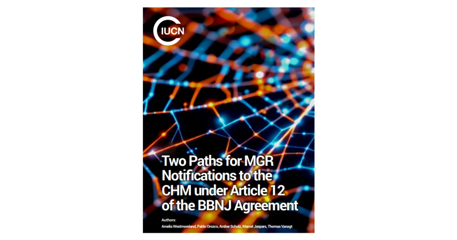 image-233e2de4668c8e7c8cc166dd3b8c02c03a8d4caf-1200x630-png