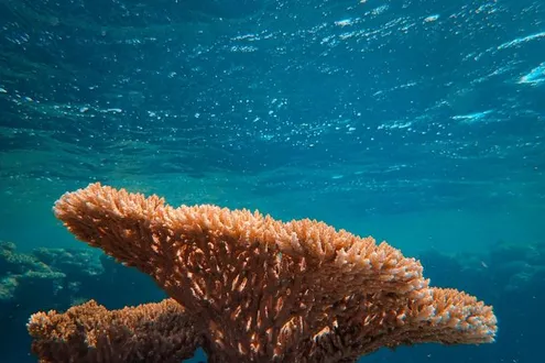 image-bafcdb6b21a75dfa952cb61040a783805ac1b8de-4000x3000-jpg