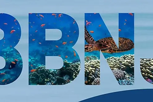 image-ce98ada130ac23cc6e263573bfad12872e9e5c39-500x217-jpg