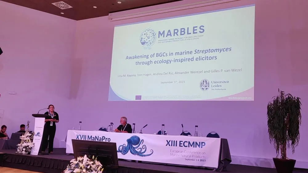 image-4b89bd31535378d4de77e8c86c6563a42e855da1-4096x2304-jpg