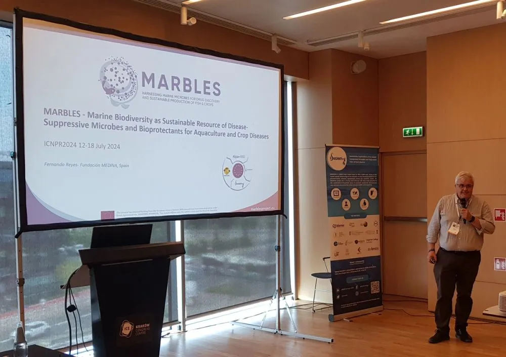 image-3bcc46dea4815c826728634416129997b3fea39d-2494x1758-jpg