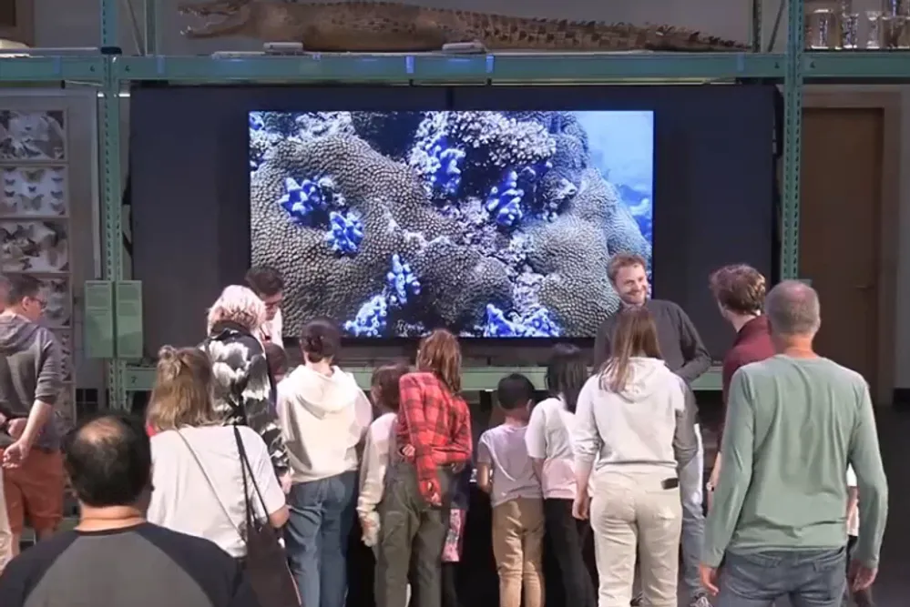 image-360bbf8498dcbaf7a3fbe861eec7875200fb6889-764x629-png