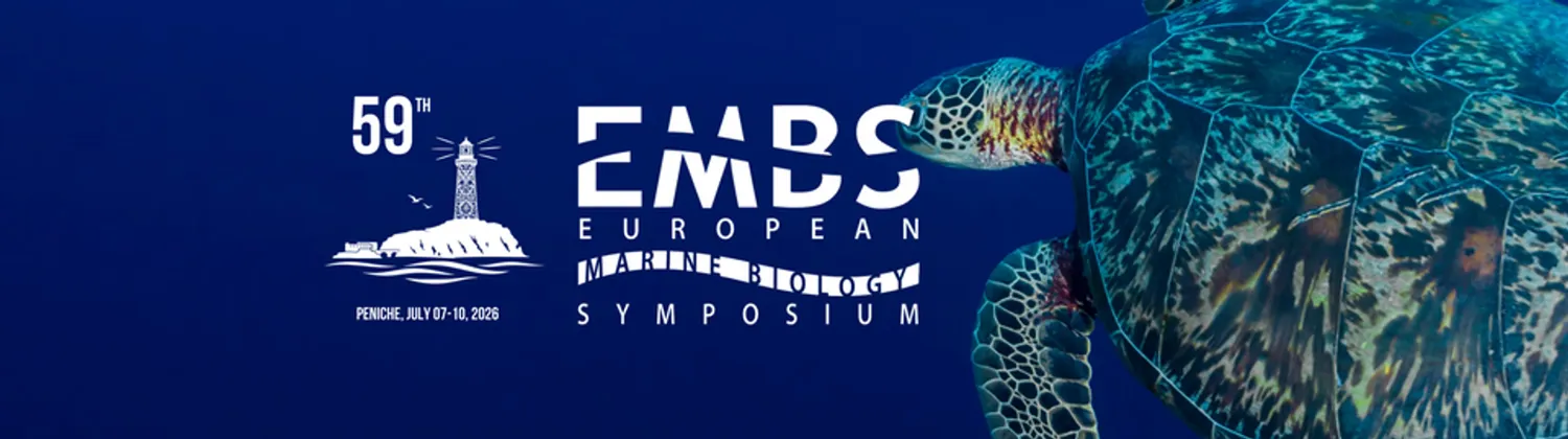 image-3922528840b06e546236bea8202250b2c66572da-960x269-png