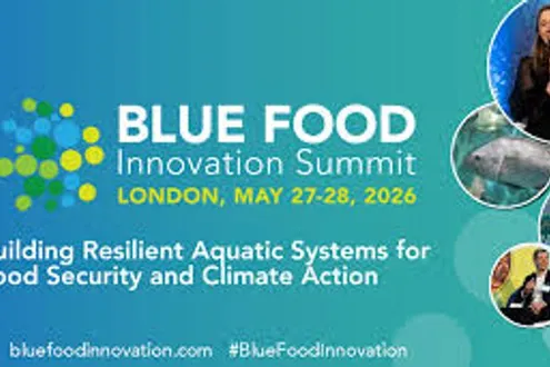 image-6a3b5ec63e469bfdbd0933e7fa05b64938846e72-294x171-jpg