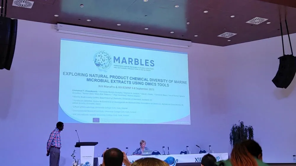 image-0bcf6ef10fc25a6d9502c30bca5bf0eb45335fcd-4096x2304-jpg