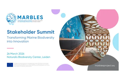 image-fc6c2153c33c0b5251c4a95128543bf1ca2fe245-1200x630-png