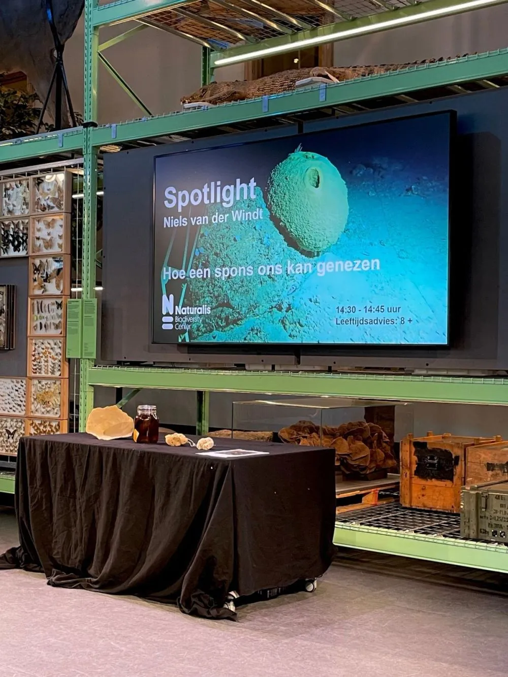 image-cf0a69ddc635e2985f6bbb50f5c52e49c6ebbf30-1280x1706-jpg