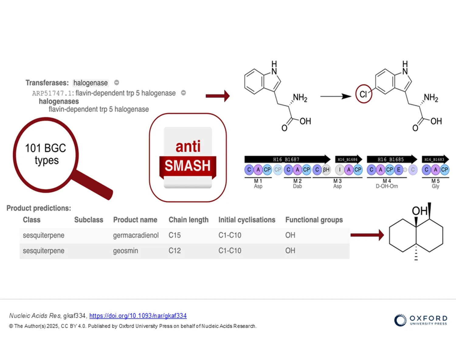 image-4ba5c00f57c0ae45b994fd0fec48ea0f0a9698ed-960x720-png