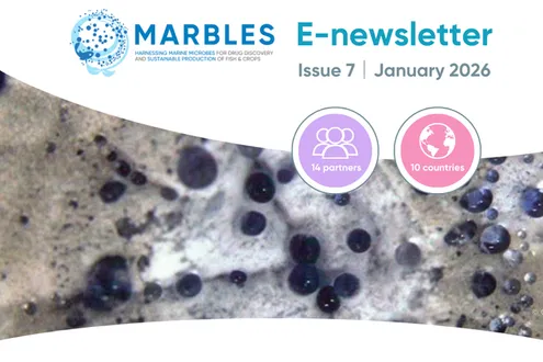 image-fd0d2a371cd04643c75d0c7d2946996c491586d4-1200x630-png