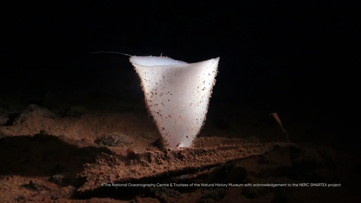 image-f49880bad37250f3e94bb10c79ef916eb398e6b4-1600x900-png