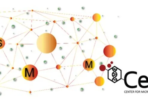 image-ca90286807ccaf45f92006b764e392ea78386b1c-634x261-jpg